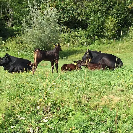 Kerschbaumer * Rangersdorf