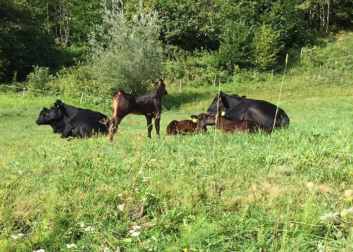 Kerschbaumer * Rangersdorf